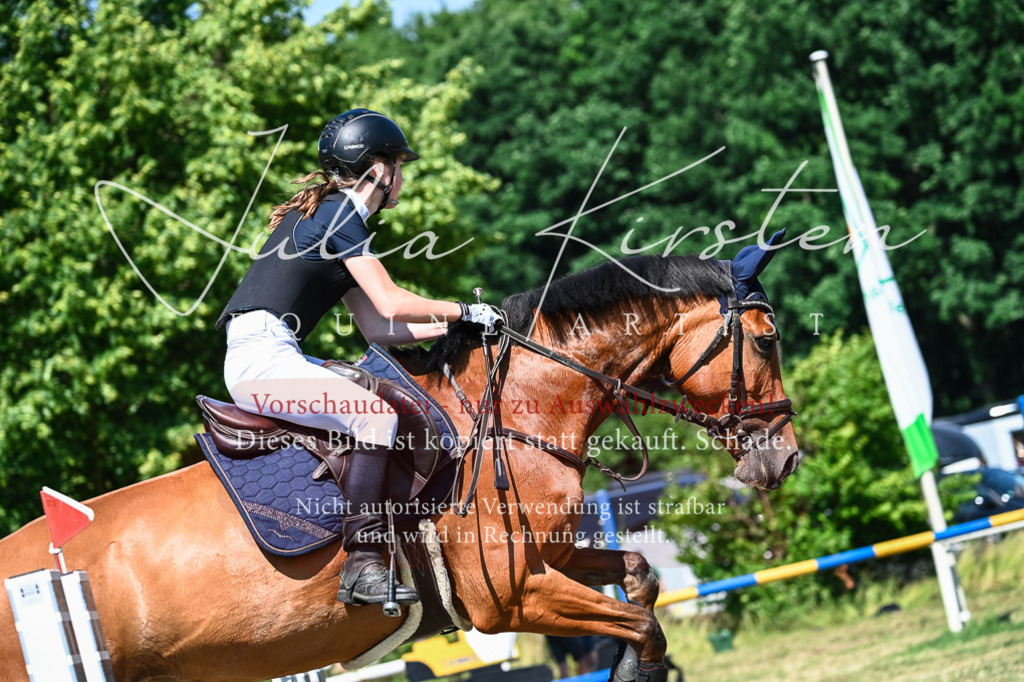 DSC_1457 | Pferde- und Turnierfotografie in Westsachsen. Pferdeportraits, Auftragszeichnungen und intuitive Kunst.