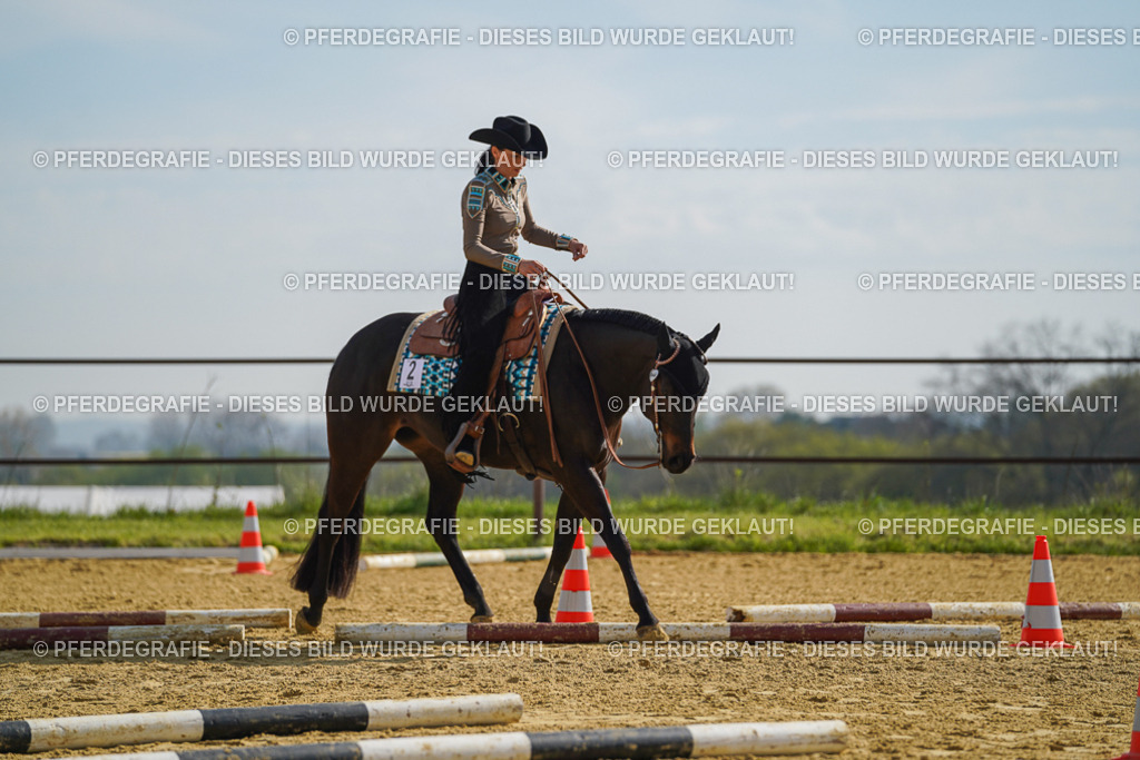 DSC01369 | Pferdegrafie