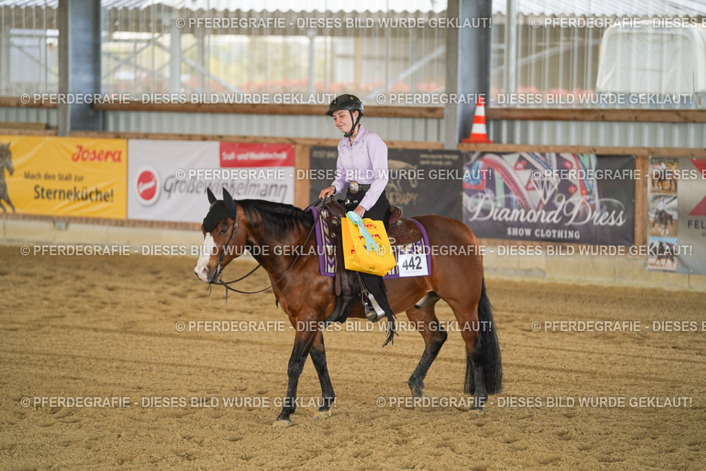 DSC00010 | Pferdegrafie