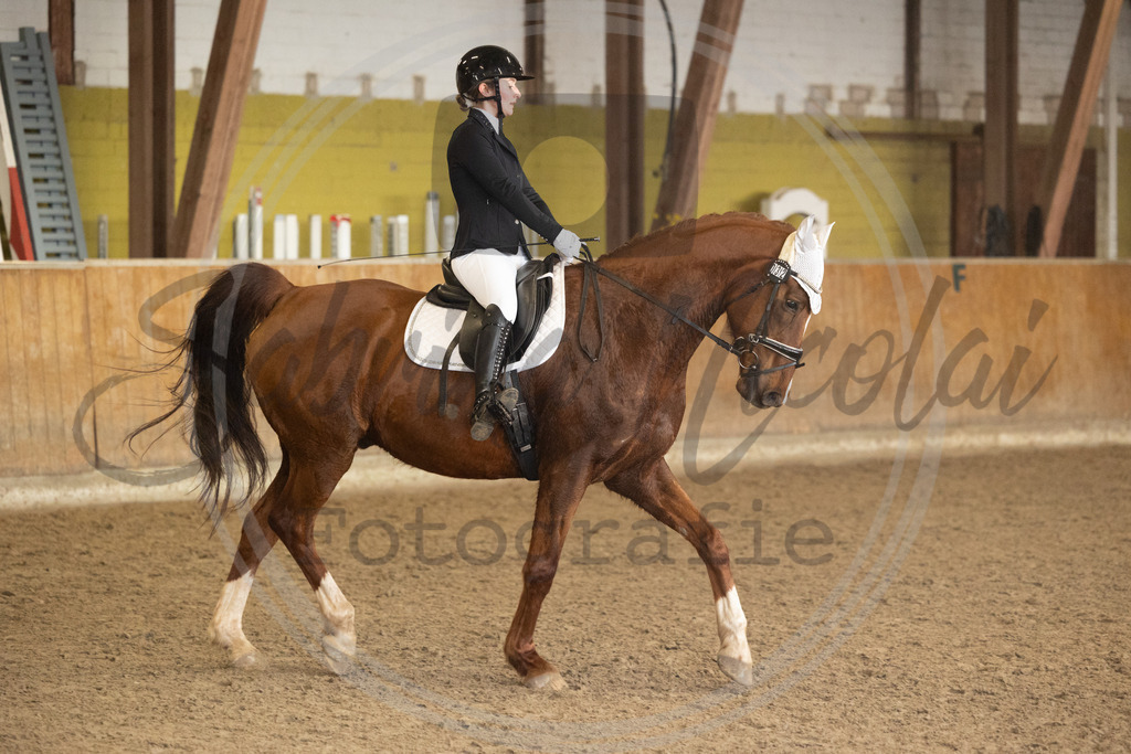 994A8670 | sabrinanicolaifotografie - Realisiert mit Pictrs.com