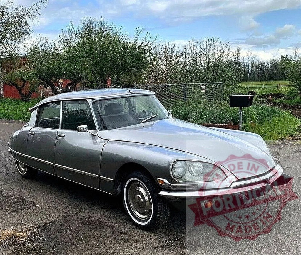 Citroën DS vintage french automobile parked outdoors | Citroën DS silver classic car parked on an asphalt driveway with trees and sky in the background - Realized with Pictrs.com