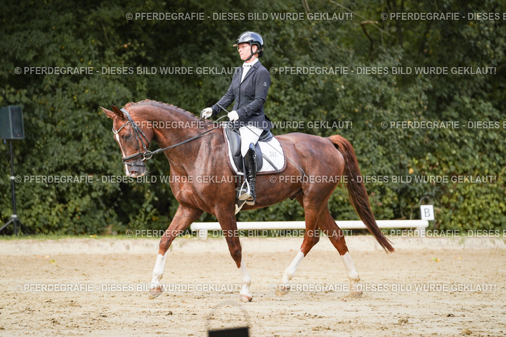 DSC02602 | Pferdegrafie