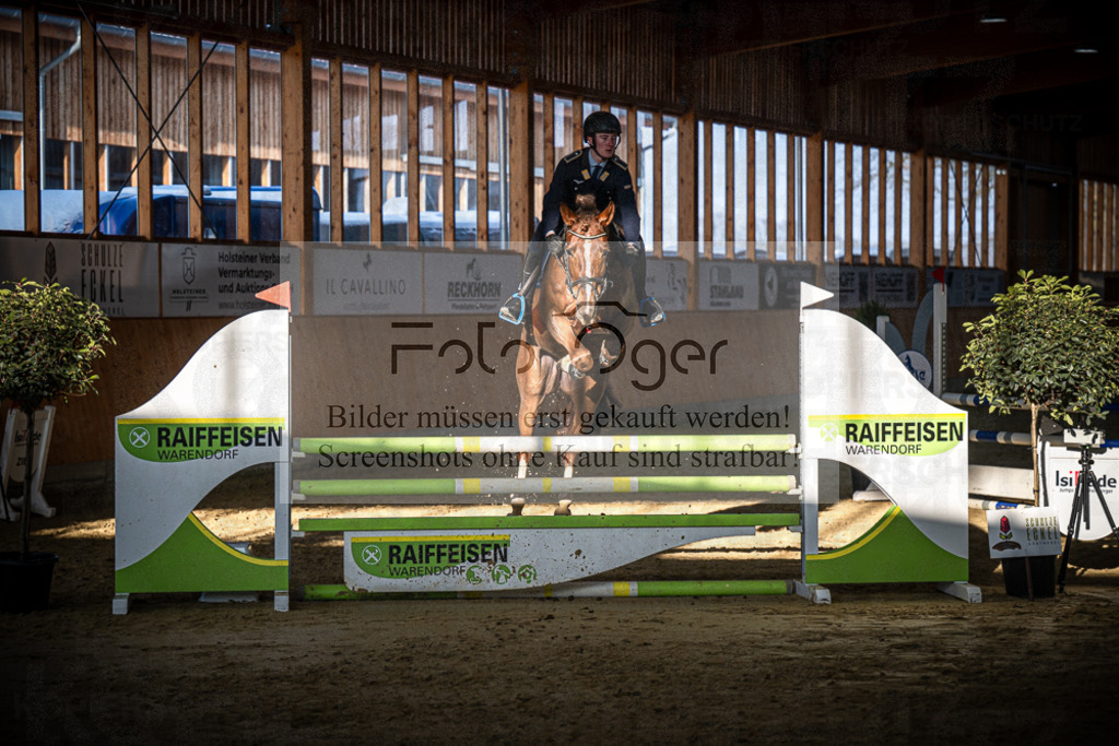 DOS_1086 | Entdecke hochwertige Reitturnierfotos von Foto Oger. Professionell, emotional und authentisch – jetzt Lieblingsmomente im Shop bestellen.Deutschlandweite Turnierfotografie. - Realisiert mit Pictrs.com