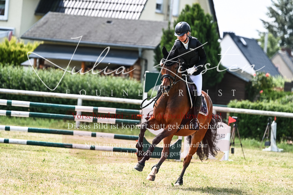 DSC_9474 | Pferde- und Turnierfotografie in Westsachsen. Pferdeportraits, Auftragszeichnungen und intuitive Kunst.