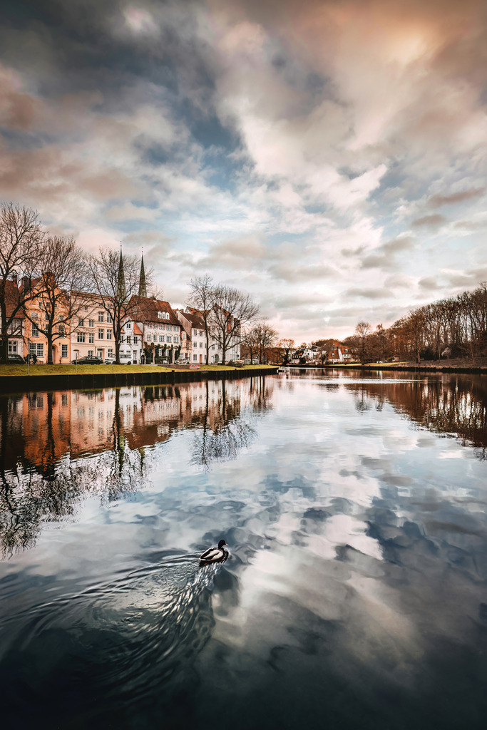 The Layhead_08 | Du suchst natürliche und atmosphärische Prints oder Leinwanddrucke? In diesem Shop gibt es alles, nur kein Mainstream. - Realisiert mit Pictrs.com