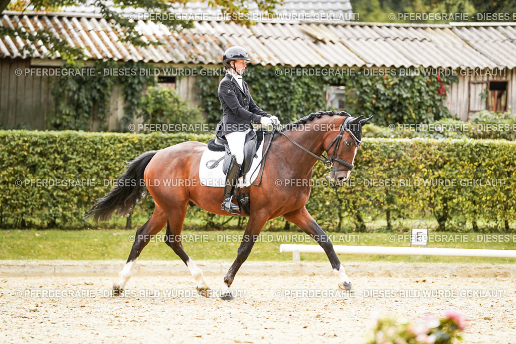 DSC03001 | Pferdegrafie