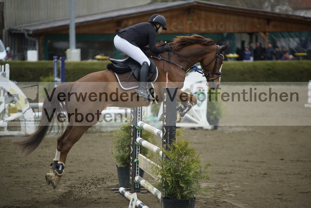 _DSC7103 | equestrian-live-com