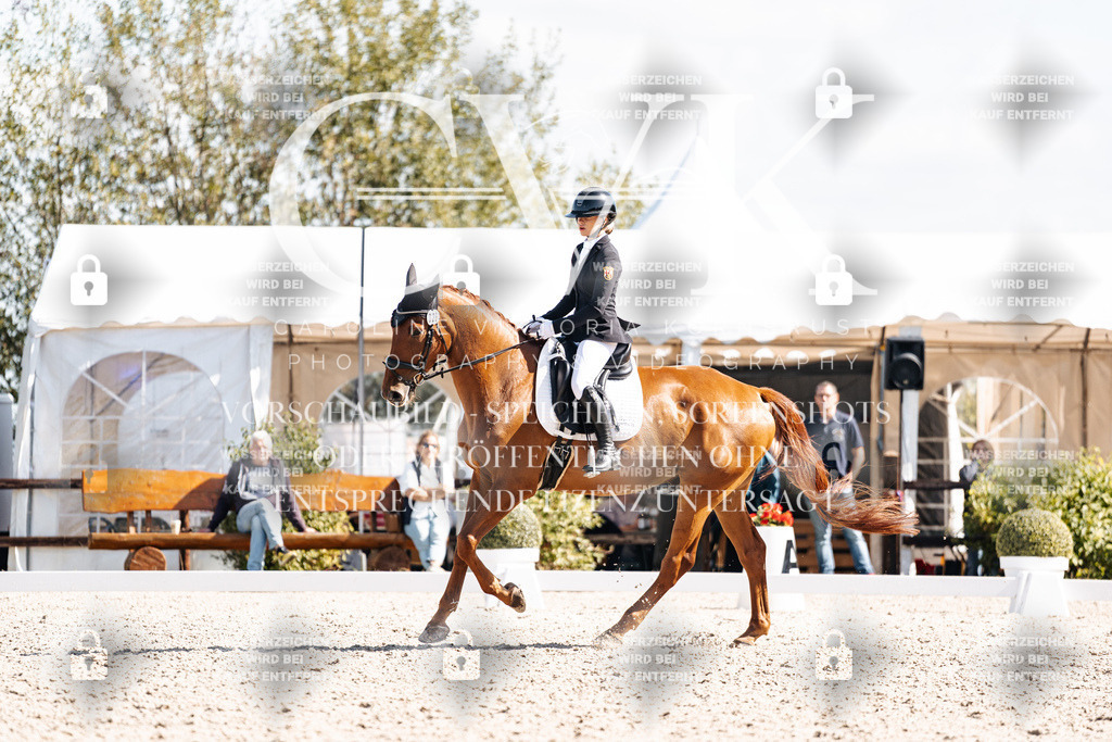 CK902846 | Turnierfotografie Pferdefotografie Trier Rheinland-Pfalz Pferdesport Reitsport Tierfotografie Sportfotografie Pferdevideo Pferdevideografie Equestrianvideography equestrianphotography  - Realisiert mit Pictrs.com