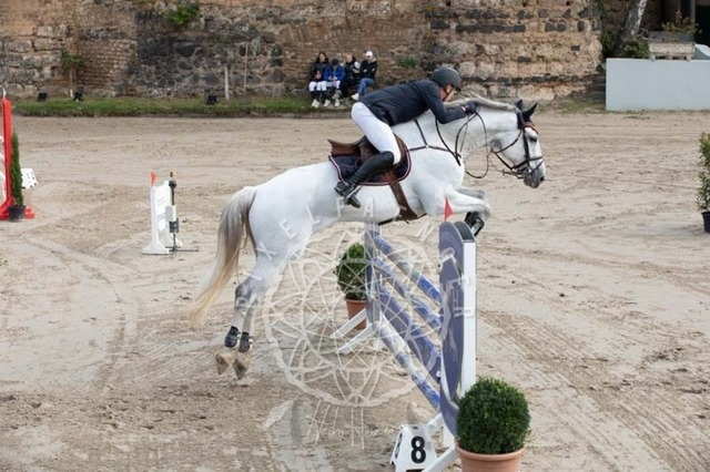 2B4A2074 | pixelfaenger - Realisiert mit Pictrs.com