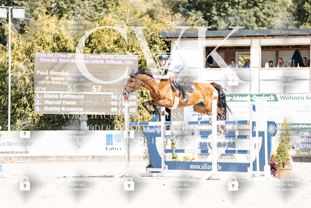 CK908923 | Turnierfotografie Pferdefotografie Trier Rheinland-Pfalz Pferdesport Reitsport Tierfotografie Sportfotografie Pferdevideo Pferdevideografie Equestrianvideography equestrianphotography  - Realisiert mit Pictrs.com