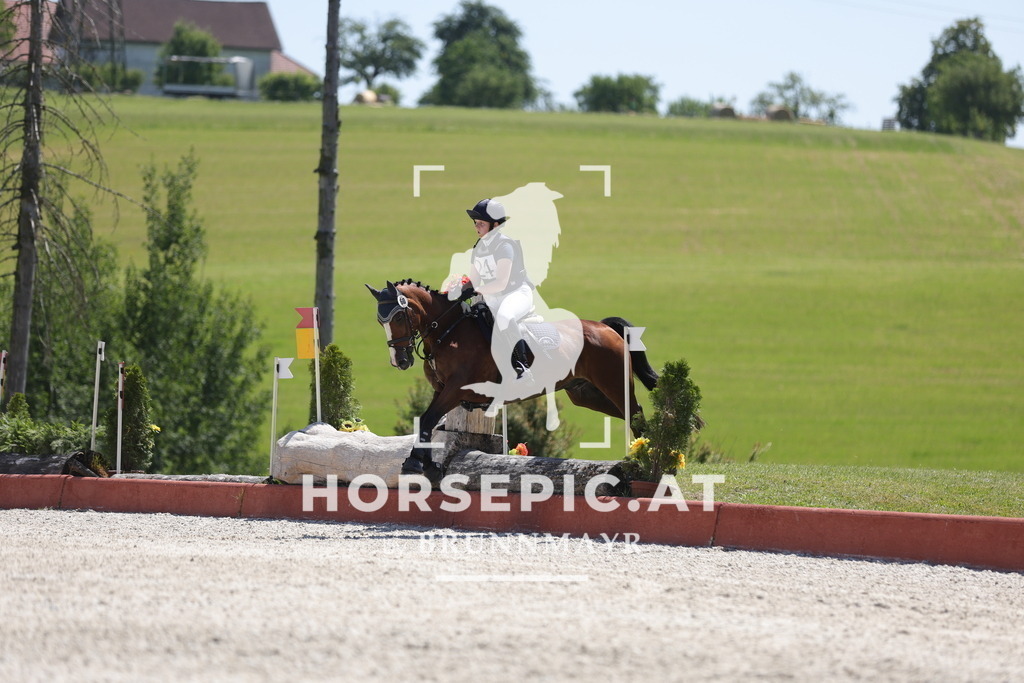 0P6A3514 | Willkommen bei Brunnmayr - Design & Fotografie – Ihrem Spezialisten für Reitturniere und Pferdeveranstaltungen in Oberösterreich, Salzburg und Bayern! Seit über 17 Jahren sind wir leidenschaftlich dabei.