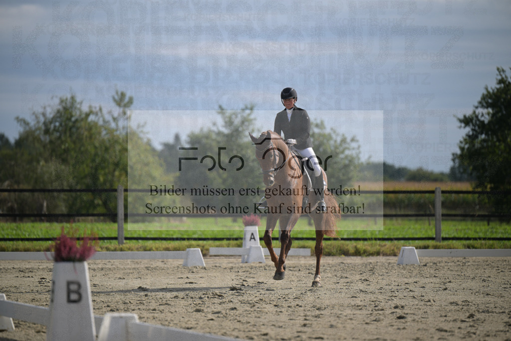 DOS_2641 | Entdecke hochwertige Reitturnierfotos von Foto Oger. Professionell, emotional und authentisch – jetzt Lieblingsmomente im Shop bestellen.Deutschlandweite Turnierfotografie. - Realisiert mit Pictrs.com