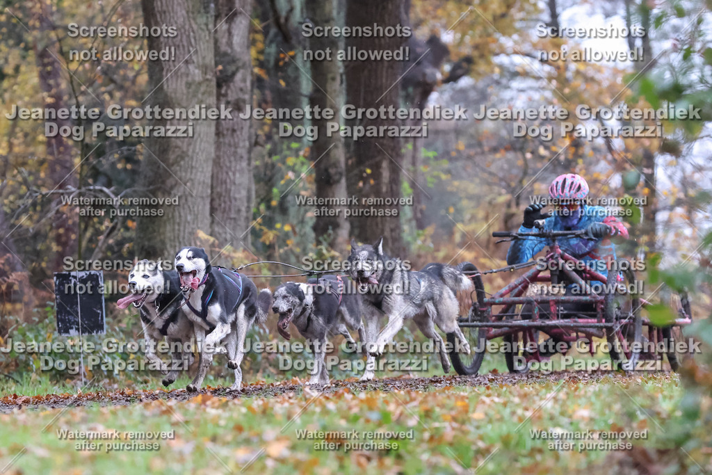 Dog Paparazzi - Ströhen 25-30 | Dog Paparazzi Jeanette Grottendiek Fotografie & Videografie - Realisiert mit Pictrs.com