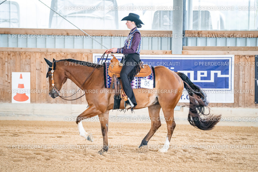 DSC01538 | Pferdegrafie