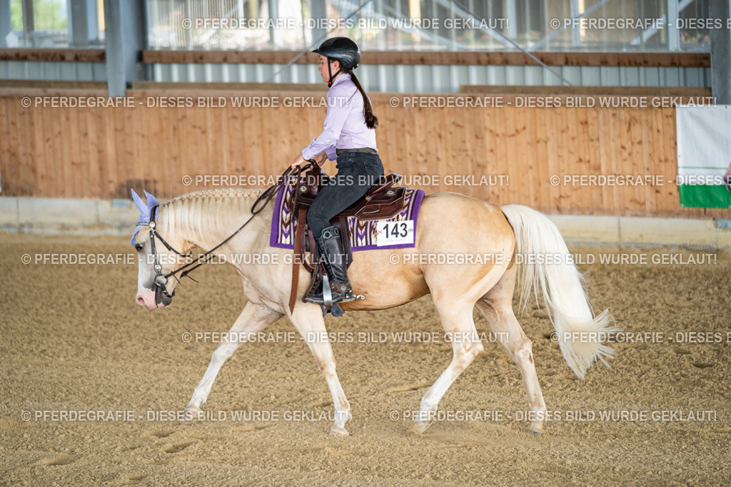 DSC07757 | Pferdegrafie