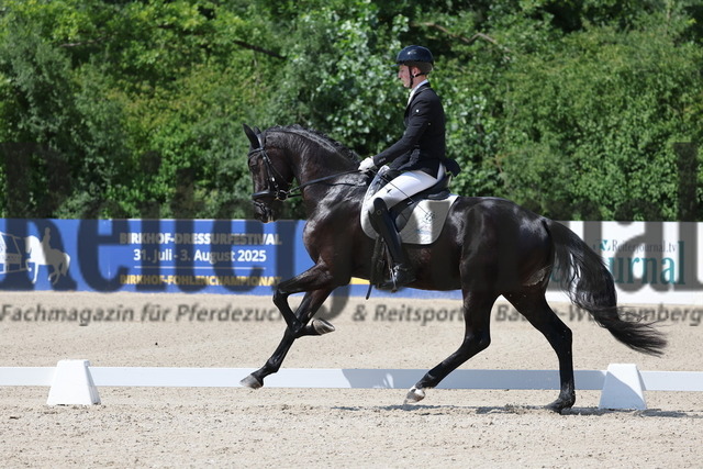 Weilheim_2025_Prfg.Nr.24_Reitpferdeprüfung_Tristan rückert_Ilario 8 (9) | Alle Fotos der Reiterjournal Fotografin Doris Matthaes im Reiterjournal Online-Fotoshop. - Realisiert mit Pictrs.com