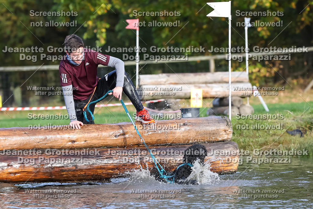 Dog Paparazzi - Strongdog 10-25-7070 | Dog Paparazzi Jeanette Grottendiek Fotografie & Videografie - Realisiert mit Pictrs.com