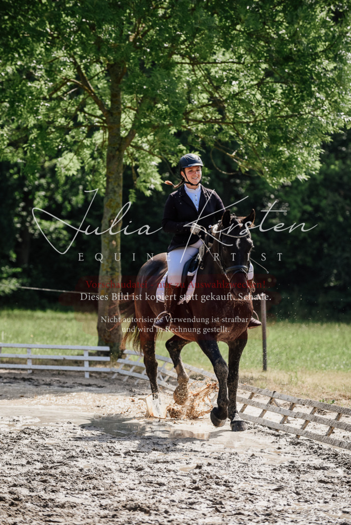 DSC_0150 | Pferde- und Turnierfotografie in Westsachsen. Pferdeportraits, Auftragszeichnungen und intuitive Kunst.