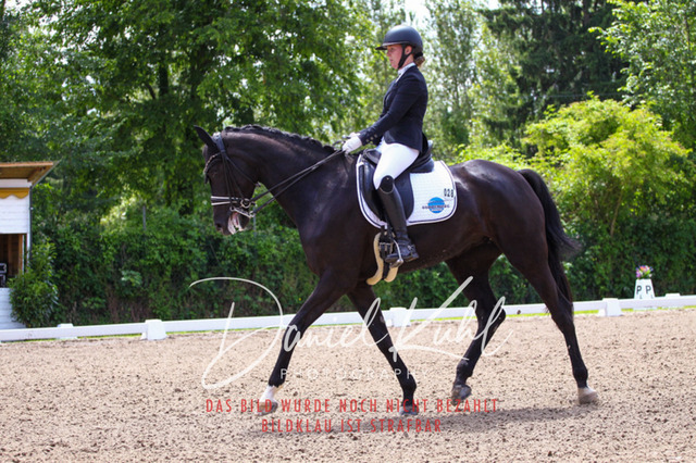 DKP40975 | Turnierfotos kaufen im Webshop von Daniel Kuhl Photography – entdecke professionelle Reitsportfotos aus Turnieren & Events. Hochwertige Turnierbilder online bestellen & sichern. Jetzt Fotos von Reitsportturnieren kaufen!