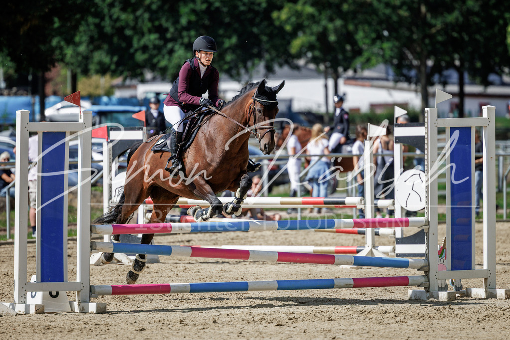 20260905-_3LI9010 | Tierfotografie Pferde, Hunde, Katzen, Haustiere.
Turnierfotografie Reitturniere, Reiten, Springreiten, Dressur in Hanau, dem Main-Kinzig-Kreis und dem Rhein-Main- Gebiet um Frankfurt