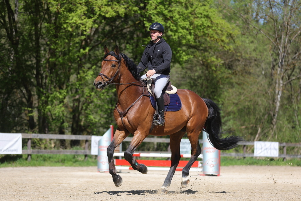 0P6A8139 | Willkommen bei Brunnmayr - Design & Fotografie – Ihrem Spezialisten für Reitturniere und Pferdeveranstaltungen in Oberösterreich, Salzburg und Bayern! Seit über 17 Jahren sind wir leidenschaftlich dabei.