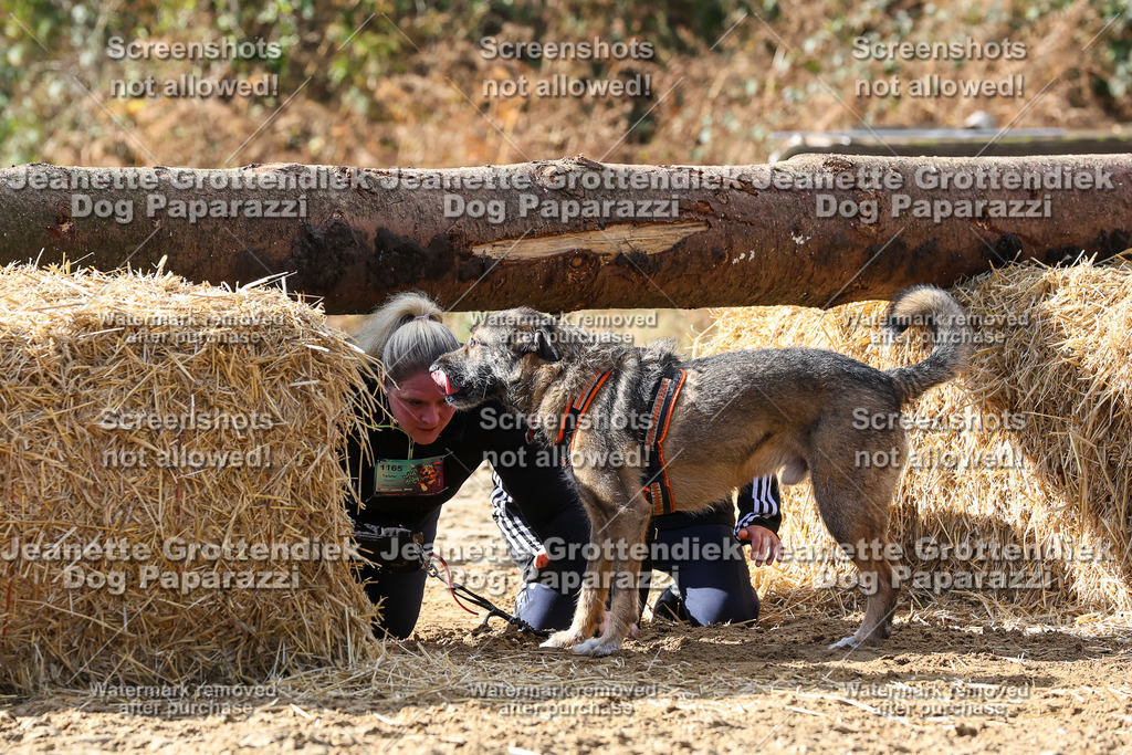 Dog Paparazzi - Strongdog 10-25-5198 | Dog Paparazzi Jeanette Grottendiek Fotografie & Videografie - Realisiert mit Pictrs.com