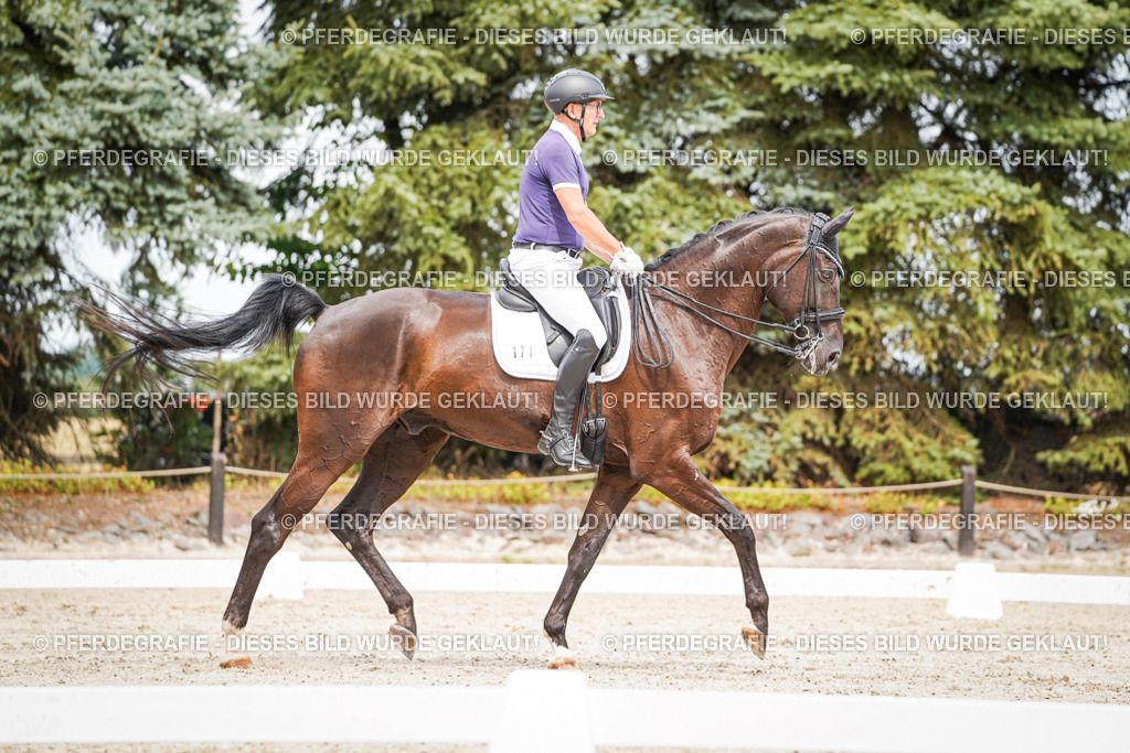 DSC06198 | Pferdegrafie