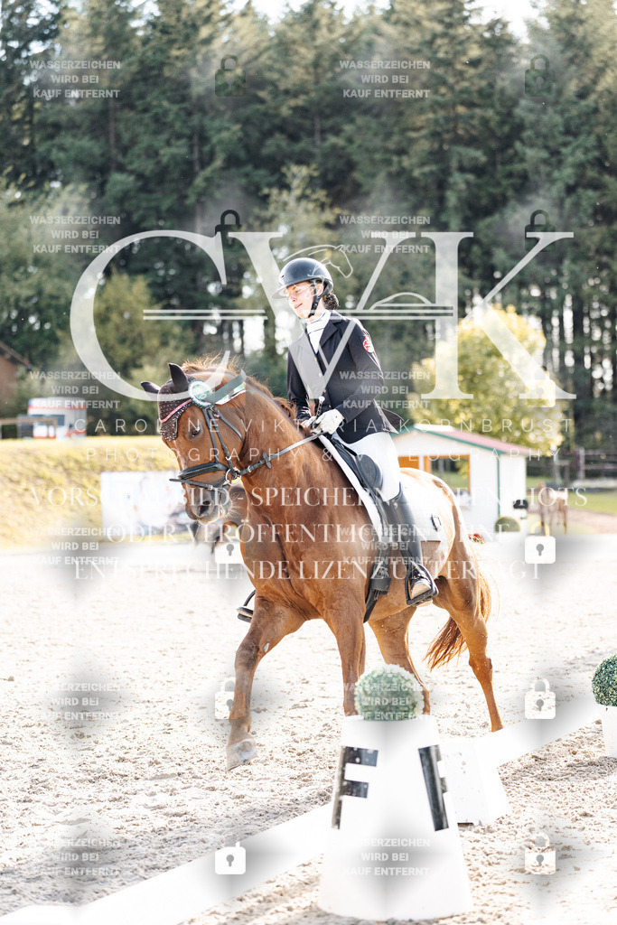 CK901802 | Turnierfotografie Pferdefotografie Trier Rheinland-Pfalz Pferdesport Reitsport Tierfotografie Sportfotografie Pferdevideo Pferdevideografie Equestrianvideography equestrianphotography  - Realisiert mit Pictrs.com