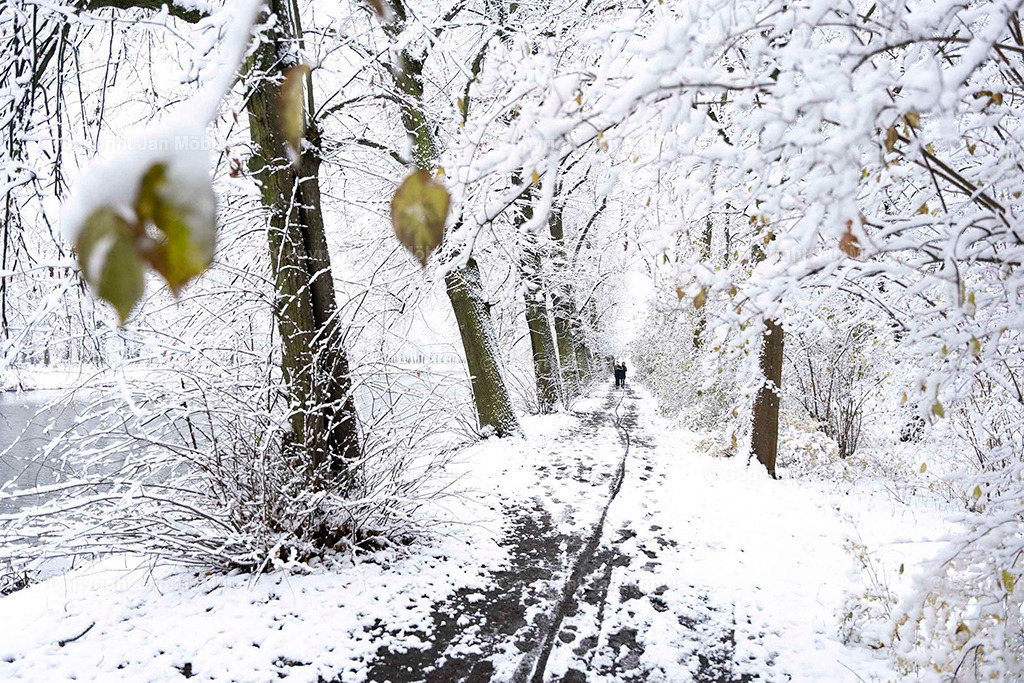 Clara Park | Der Clara-Zetkin-Park in Leipzig ist ein beliebter Ort für Natur, Sport und Erholung – perfekt für Spaziergänge, Jogging und entspannte Stunden im Grünen. - Realisiert mit Pictrs.com