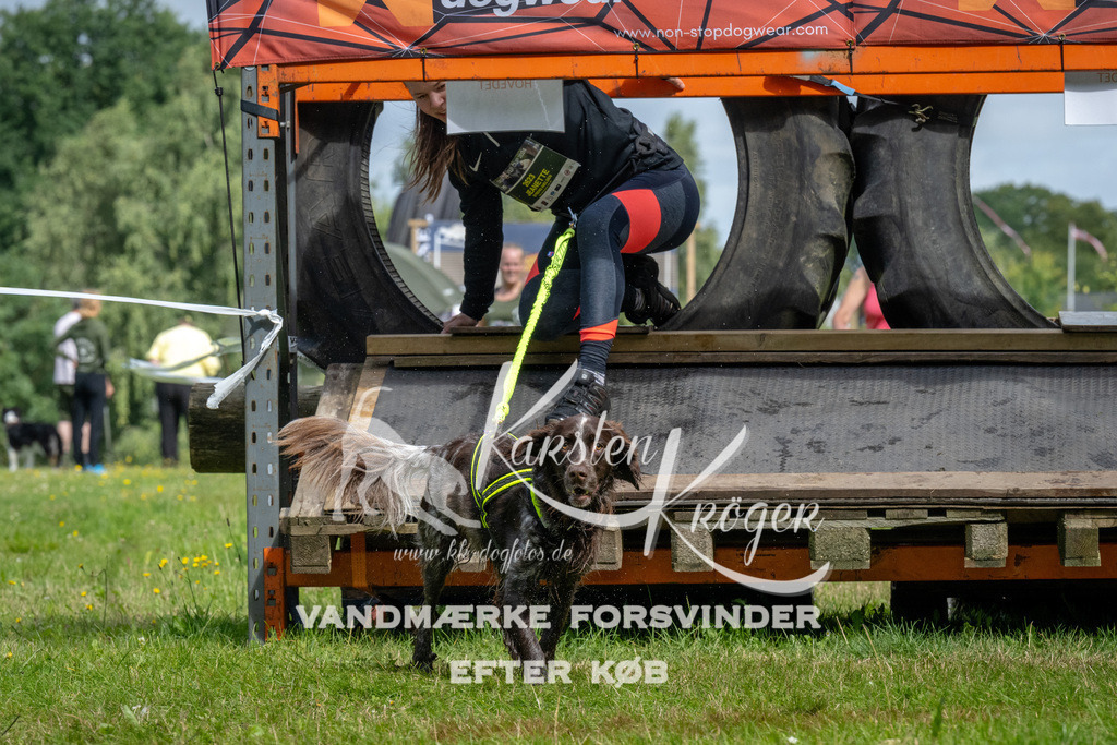 1132_ZZ92414 | kk-dogfotos