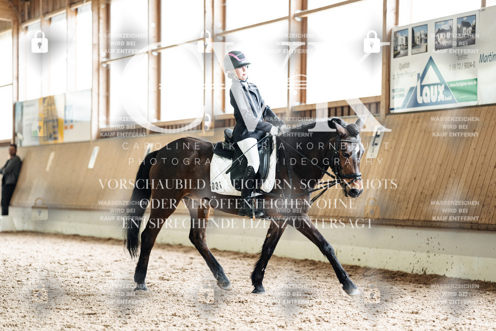 CK901291 | Turnierfotografie Pferdefotografie Trier Rheinland-Pfalz Pferdesport Reitsport Tierfotografie Sportfotografie Pferdevideo Pferdevideografie Equestrianvideography equestrianphotography  - Realisiert mit Pictrs.com