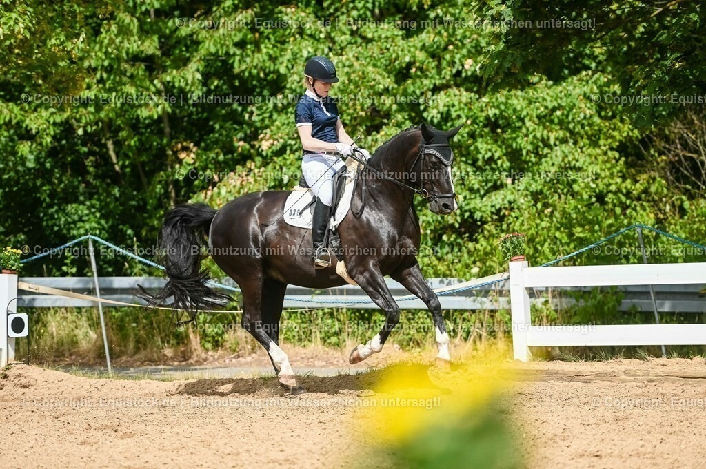 20230715_02_Dressurreiterprüfung Kl.L_0361 | equistock