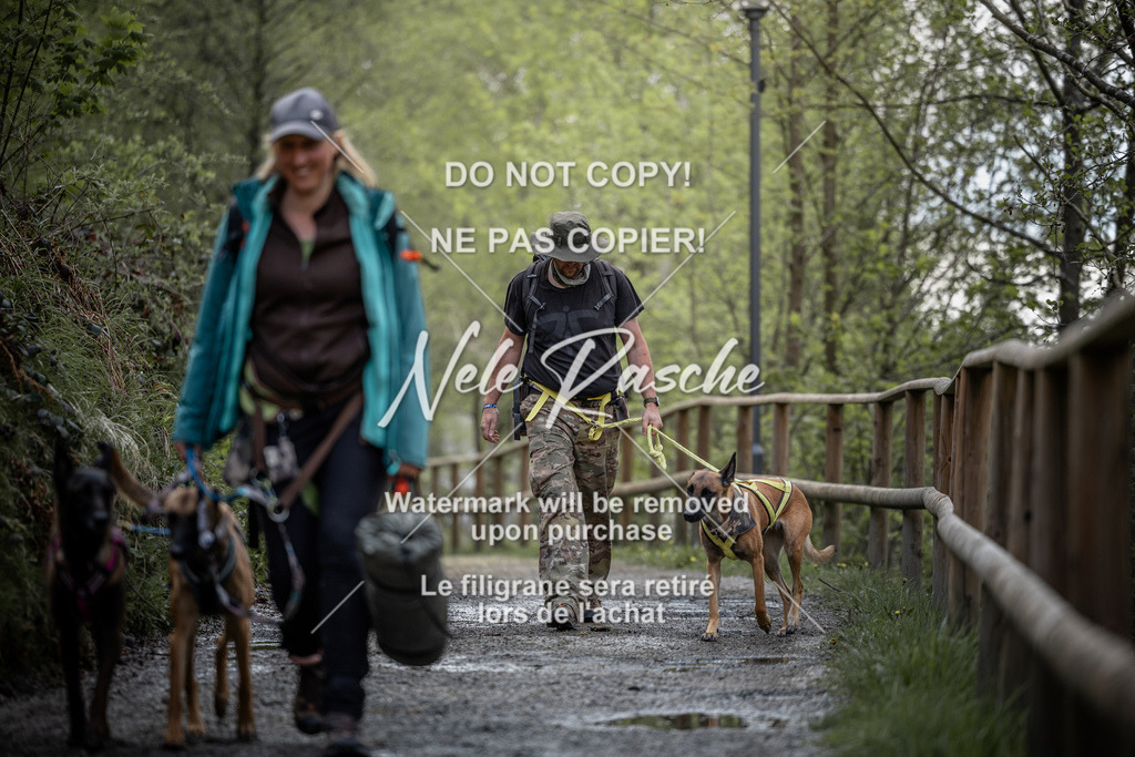 nelerasche_TheGame2026_SaCampEinlauf_368 | nelerasche