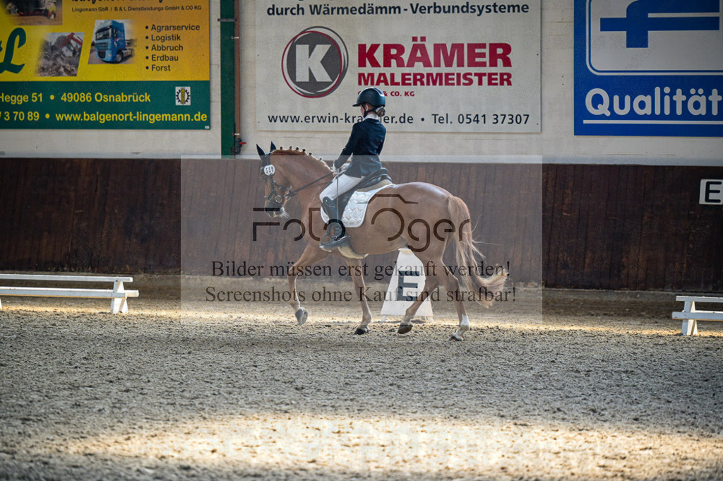 Reitturnier Voxtrup | Entdecke hochwertige Reitturnierfotos von Foto Oger. Professionell, emotional und authentisch – jetzt Lieblingsmomente im Shop bestellen.Deutschlandweite Turnierfotografie. - Realisiert mit Pictrs.com