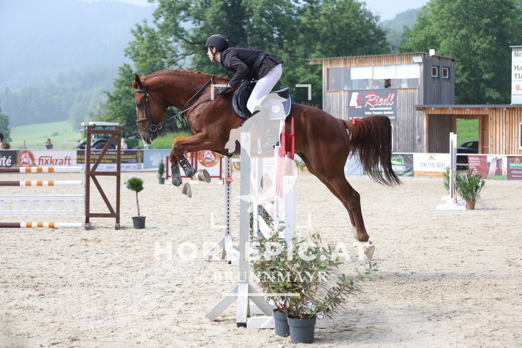 0P6A8157 | Willkommen bei Brunnmayr - Design & Fotografie – Ihrem Spezialisten für Reitturniere und Pferdeveranstaltungen in Oberösterreich, Salzburg und Bayern! Seit über 17 Jahren sind wir leidenschaftlich dabei.