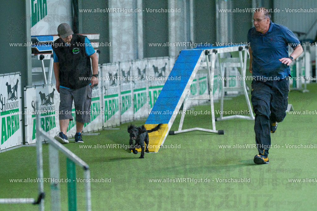 @allesWIRTHgut_Tierfotografie - www.allesWIRTHgut.de - 2604251555-7R506440 | Professionelle Tierfotografie in Mönchengladbach von Daniel Wirth (allesWIRTHgut). Liebevolle & natürliche Bilder von Hunden & Katzen für unvergessliche Erinnerungen.