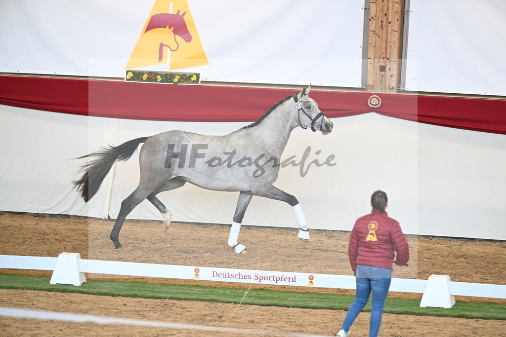 Kat.-Nr. 72 v. Johnson_Lehner_2250616 | hf-fotografie - Realisiert mit Pictrs.com