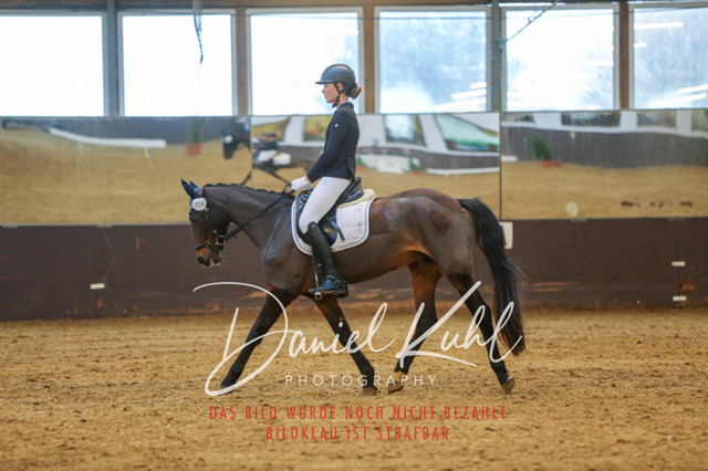 IMG_8047 | Turniersportfotografie; Pferdefotografie; Dressurfotografie