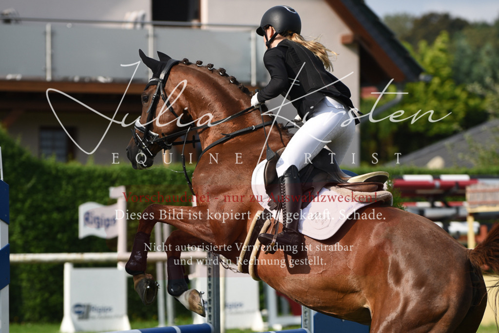 DSC_8786 | Pferde- und Turnierfotografie in Westsachsen. Pferdeportraits, Auftragszeichnungen und intuitive Kunst.