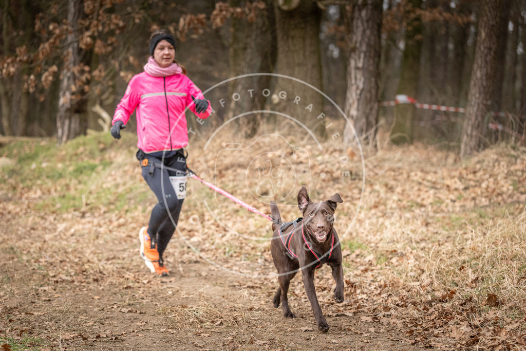 Pfotenfotografie_DV3A2069 | Hundefotografie, Tierfotograf, Pfotenfotografie, Fotoshooting Hund, Hunde Portrait, Hundesport, Hundeportraits, Heideshooting, Hunde, Sportfotograf, Hundefotograf, Turnierhundsport, THS,  - Realisiert mit Pictrs.com
