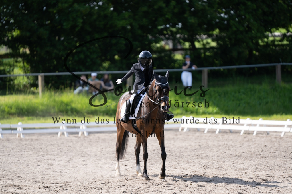 A7V02485 | Pferdefotograf