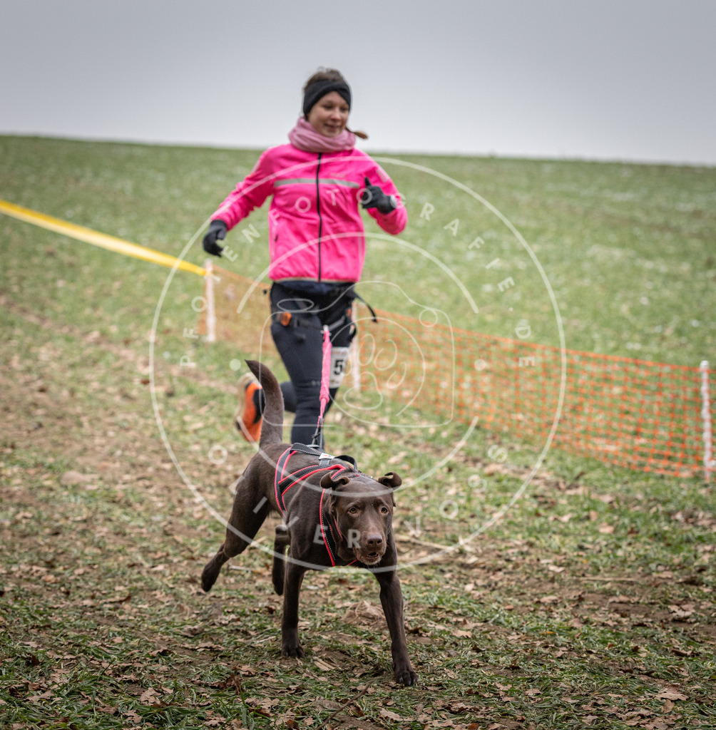 Pfotenfotografie_DV3A1869 | Hundefotografie, Tierfotograf, Pfotenfotografie, Fotoshooting Hund, Hunde Portrait, Hundesport, Hundeportraits, Heideshooting, Hunde, Sportfotograf, Hundefotograf, Turnierhundsport, THS,  - Realisiert mit Pictrs.com