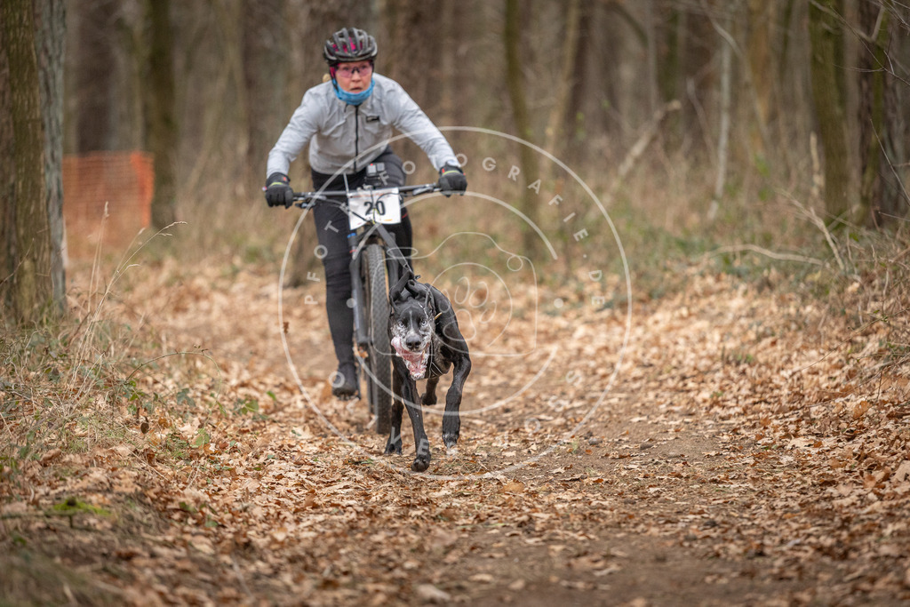 Pfotenfotografie_DV3A7407 | Hundefotografie, Tierfotograf, Pfotenfotografie, Fotoshooting Hund, Hunde Portrait, Hundesport, Hundeportraits, Heideshooting, Hunde, Sportfotograf, Hundefotograf, Turnierhundsport, THS,  - Realisiert mit Pictrs.com