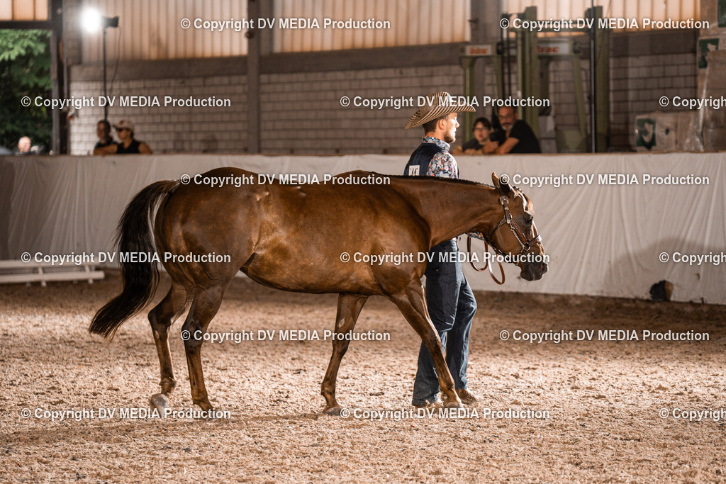 ZH200203 | dv-media-shop - Realisiert mit Pictrs.com