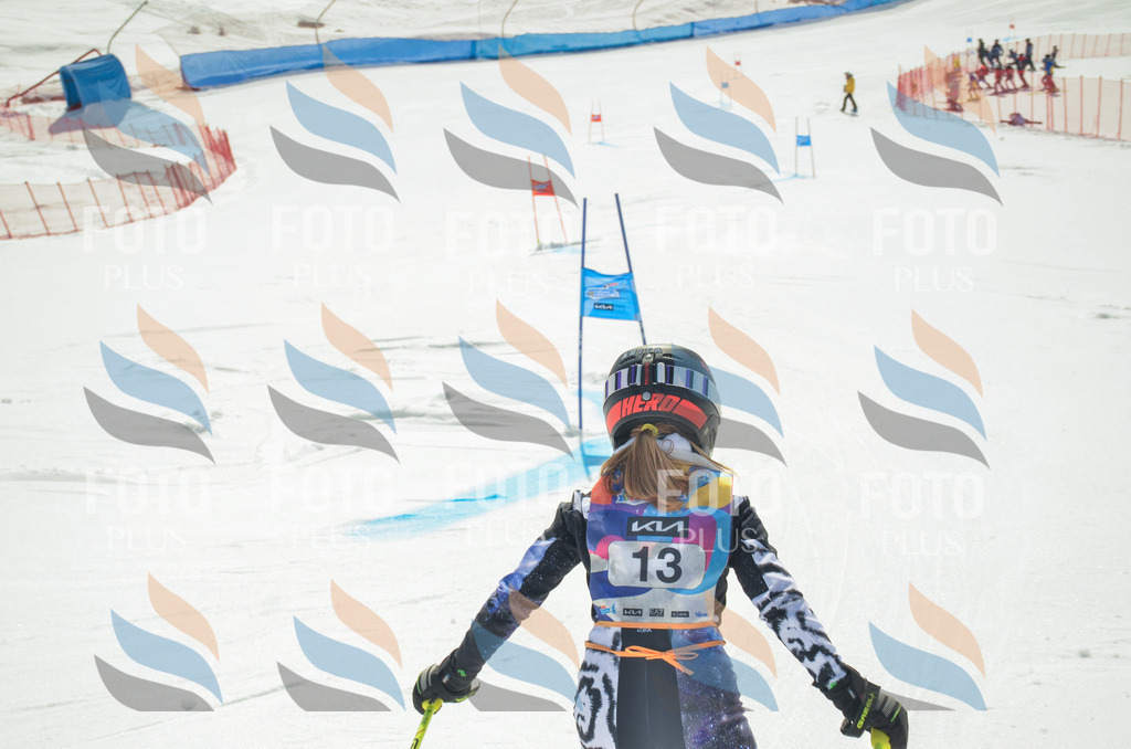 _ELE4617 | holidayphoto