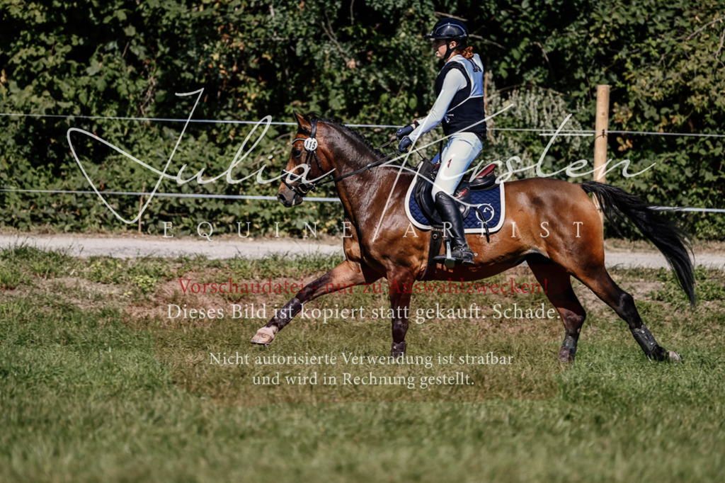 DSC_1293 | Pferde- und Turnierfotografie in Westsachsen. Pferdeportraits, Auftragszeichnungen und intuitive Kunst.