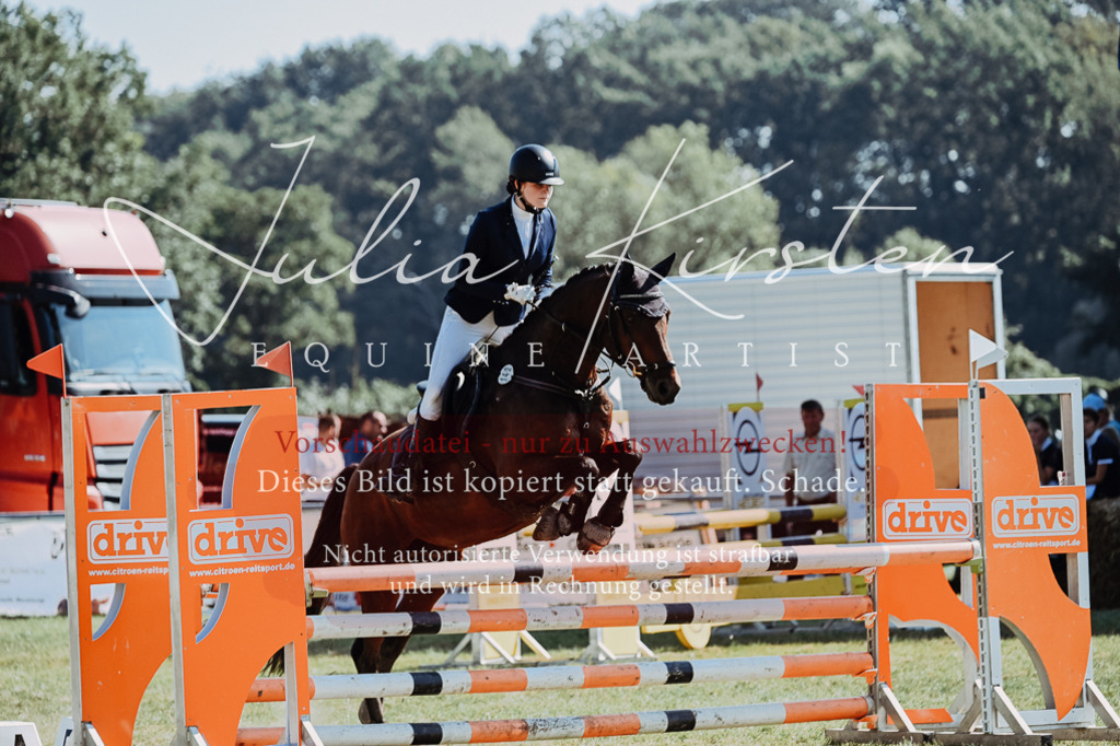 DSC_5873 | Pferde- und Turnierfotografie in Westsachsen. Pferdeportraits, Auftragszeichnungen und intuitive Kunst.