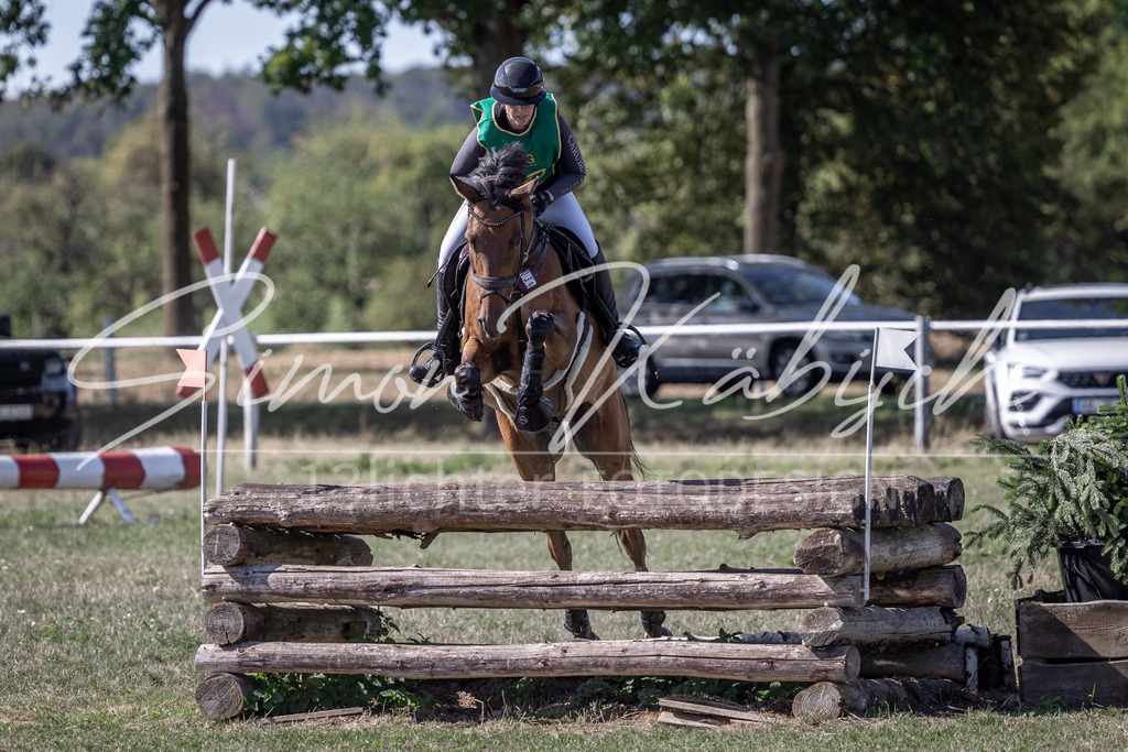 20260906-_3LI5837 | Tierfotografie Pferde, Hunde, Katzen, Haustiere.
Turnierfotografie Reitturniere, Reiten, Springreiten, Dressur in Hanau, dem Main-Kinzig-Kreis und dem Rhein-Main- Gebiet um Frankfurt
