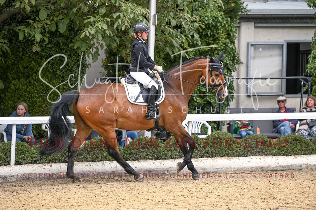 Schugtsche-Aluta25-44.DresssurreiterWB-197 | Schugtsche Fotografie - Realisiert mit Pictrs.com