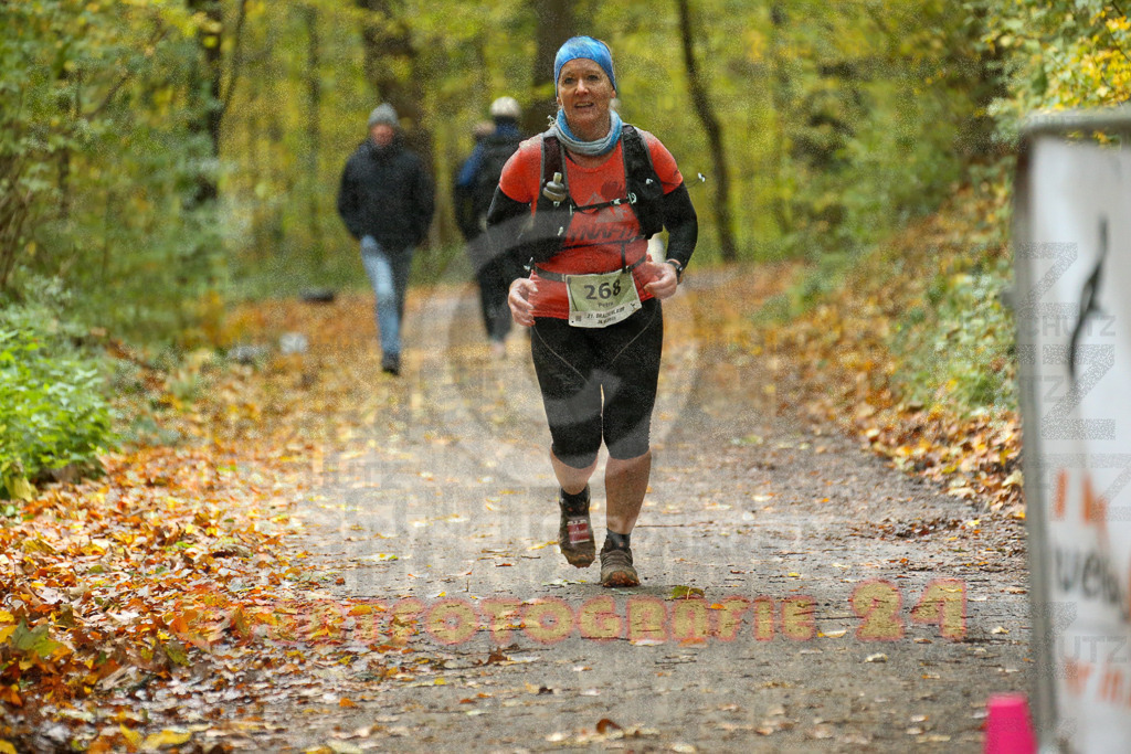 251026_1406_EX1_4097 | Sportfotografie im Rhein-Sieg Kreis, Köln, Bonn, NRW, Rheinland Pfalz, Hessen, etc. Unser Tätigkeitsfeld umfasst den Laufsport vom Volkslauf über den Marathon, Duathlon, Triathon bis zum Ultralauf wie Kölnpfad Ultra oder Schindertrail.